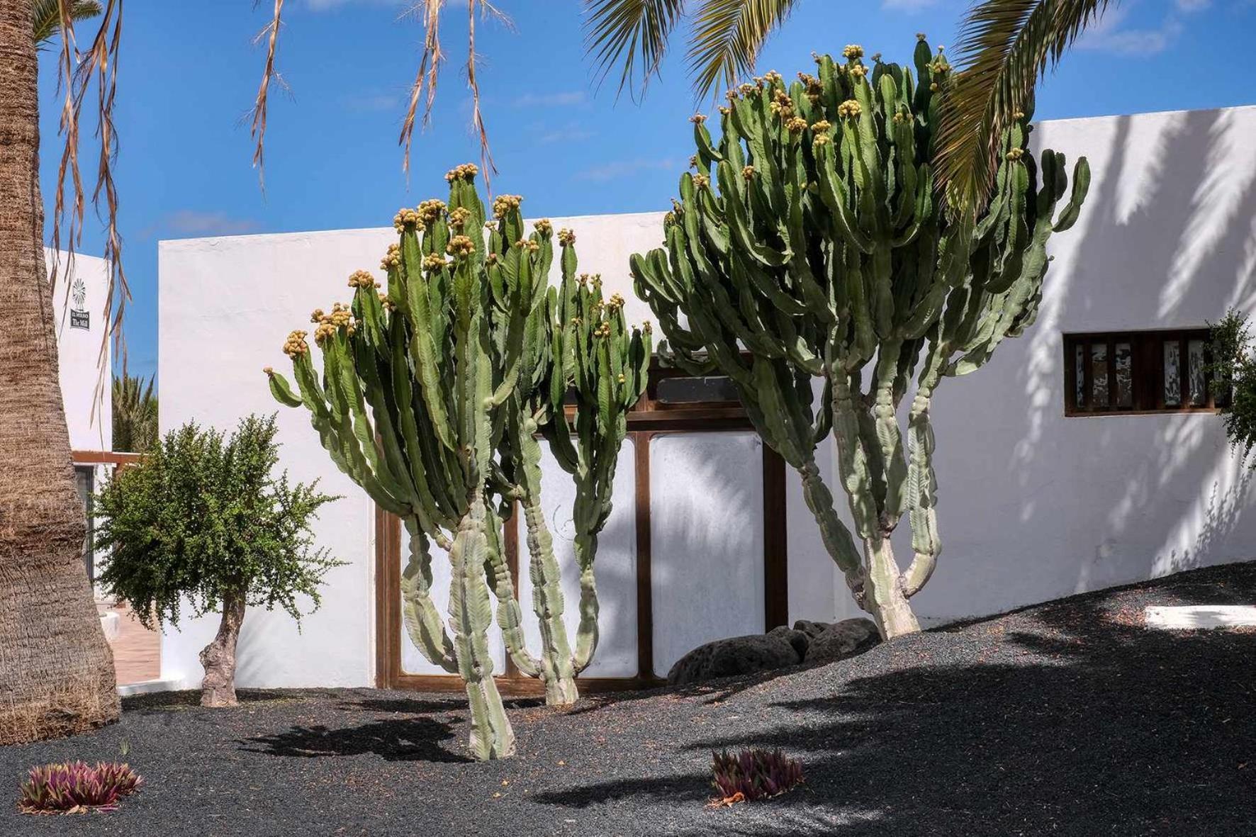 Molinos Luxury Y Relax Holiday home